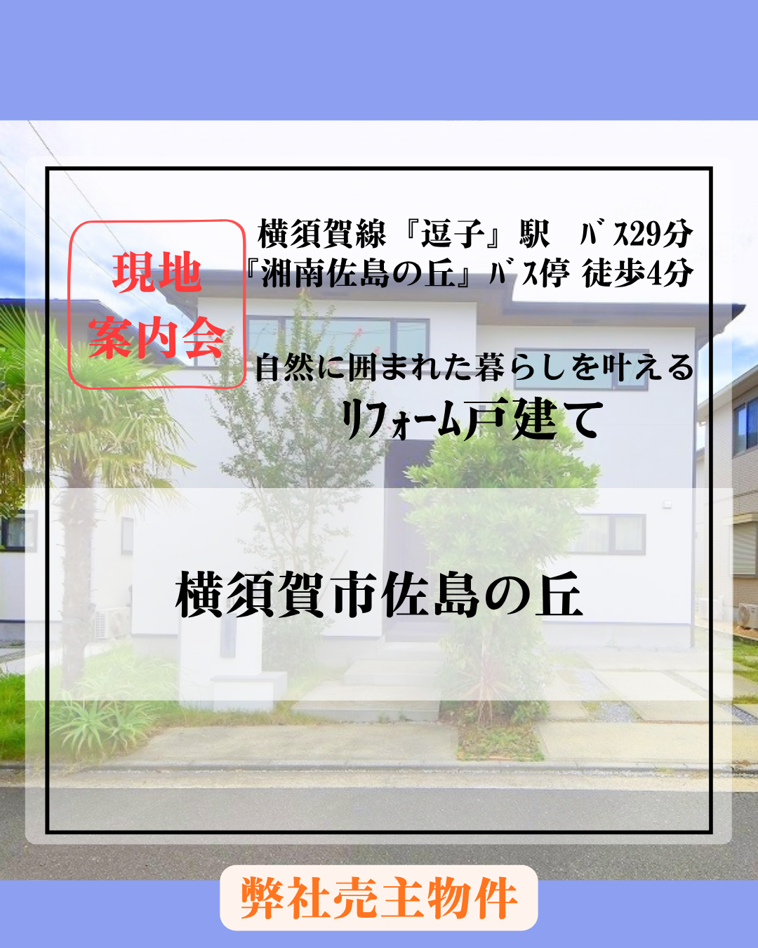佐島の丘HP (2)